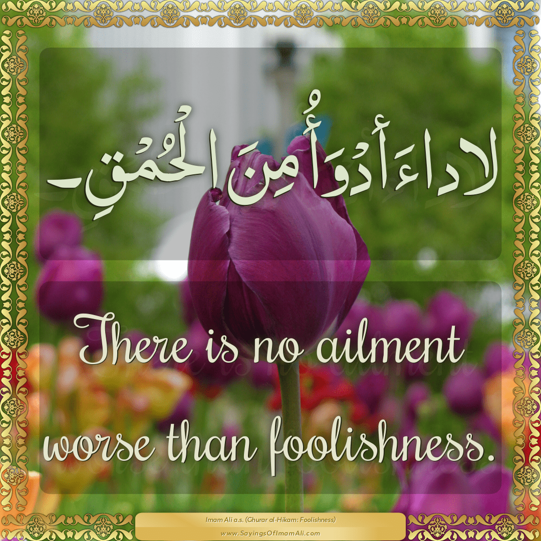 There is no ailment worse than foolishness.